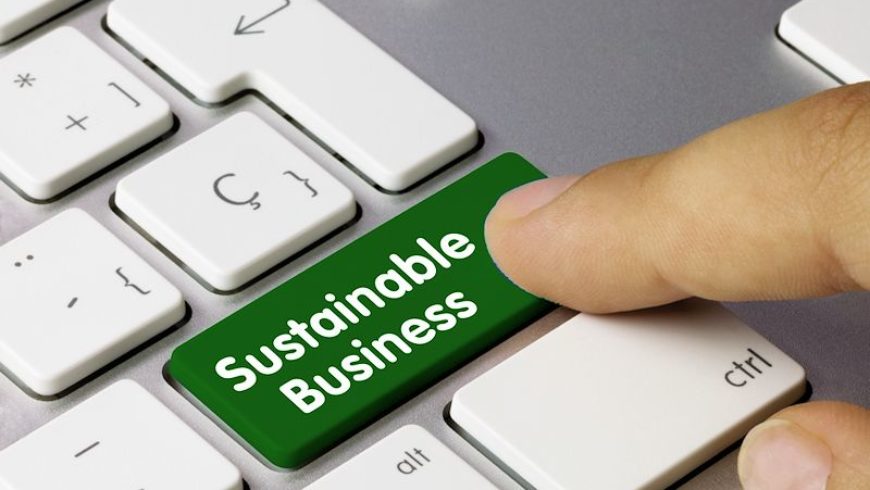 Leviosa business sustainability systems