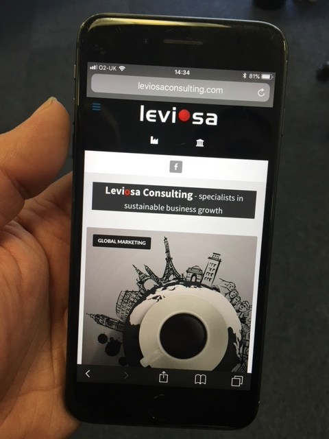 Leviosa website development